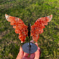 Fire Quartz Butterfly on Stand | Heat-Treated Quartz Crystal Option 47