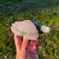 Quartz Filled Moss Agate Sea Turtle | Hand-Carved Crystal Turtle (72)