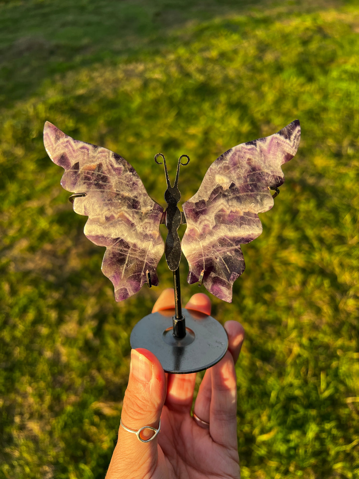 Dream Amethyst Butterfly wings on stand (81)