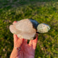 Quartz Filled Moss Agate Sea Turtle | Hand-Carved Crystal Turtle (72)