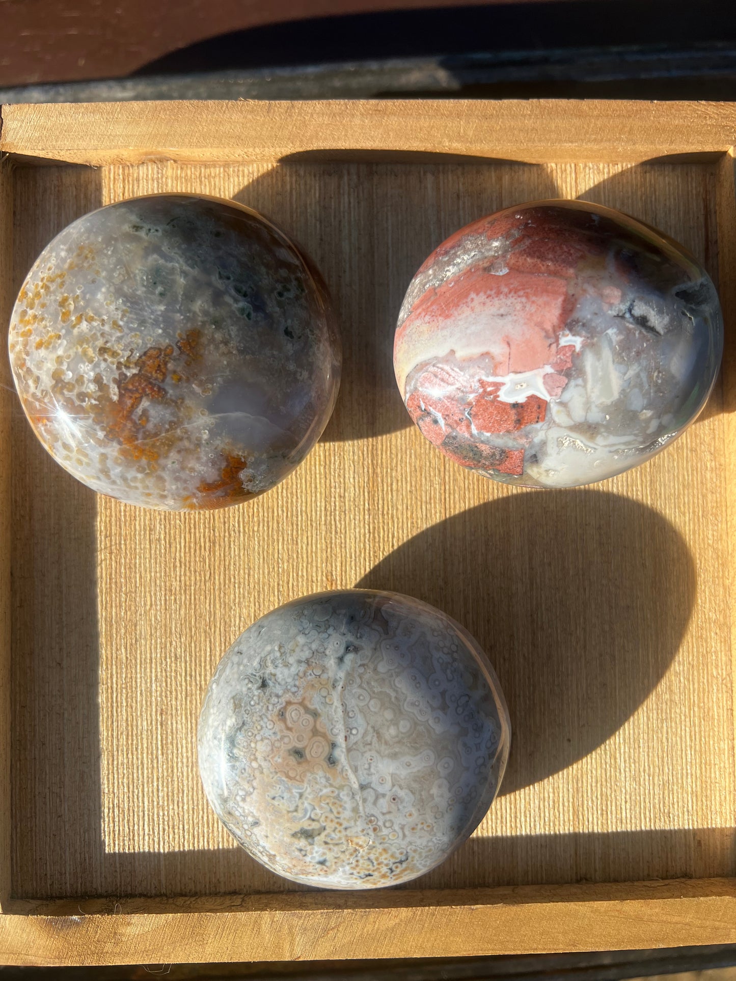 Sea Jasper / Ibis Jasper Palm Stone