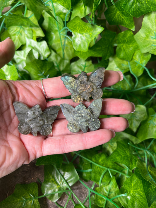 Labradorite Snake in Moth Carving