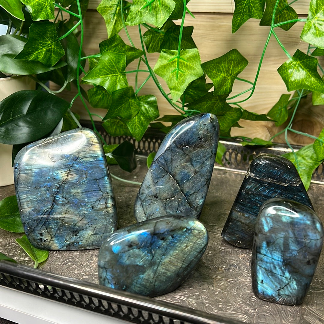 Labradorite Freeforms (you choose)