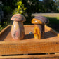 Polychrome mushroom (you choose)