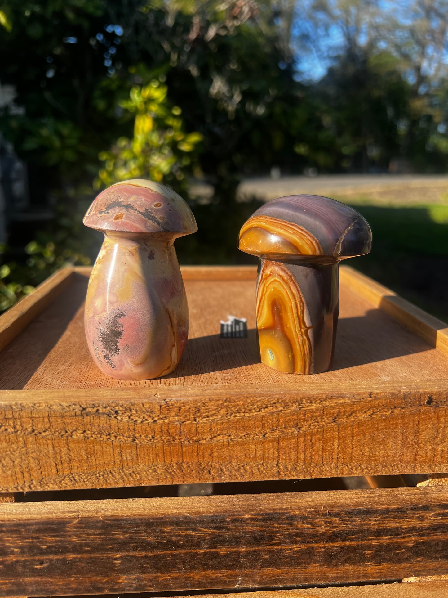 Polychrome mushroom (you choose)