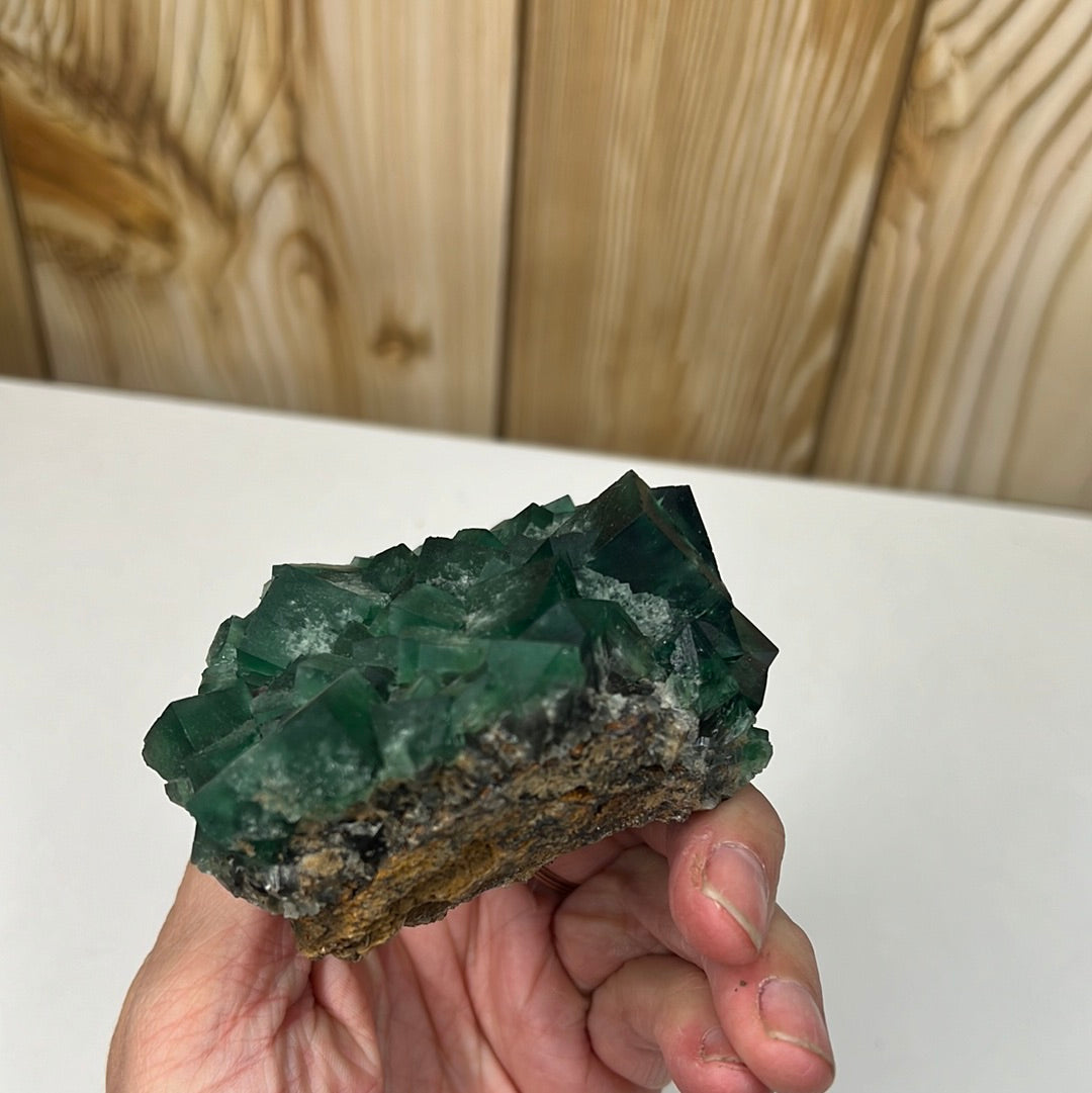 Naughty Gnome English Fluorite (1)