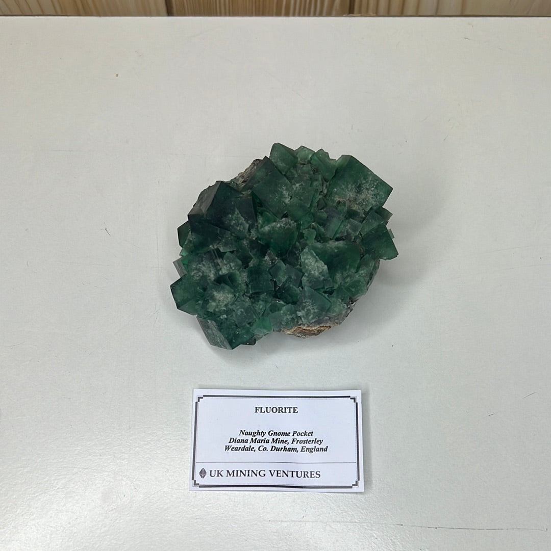 Naughty Gnome English Fluorite (1)