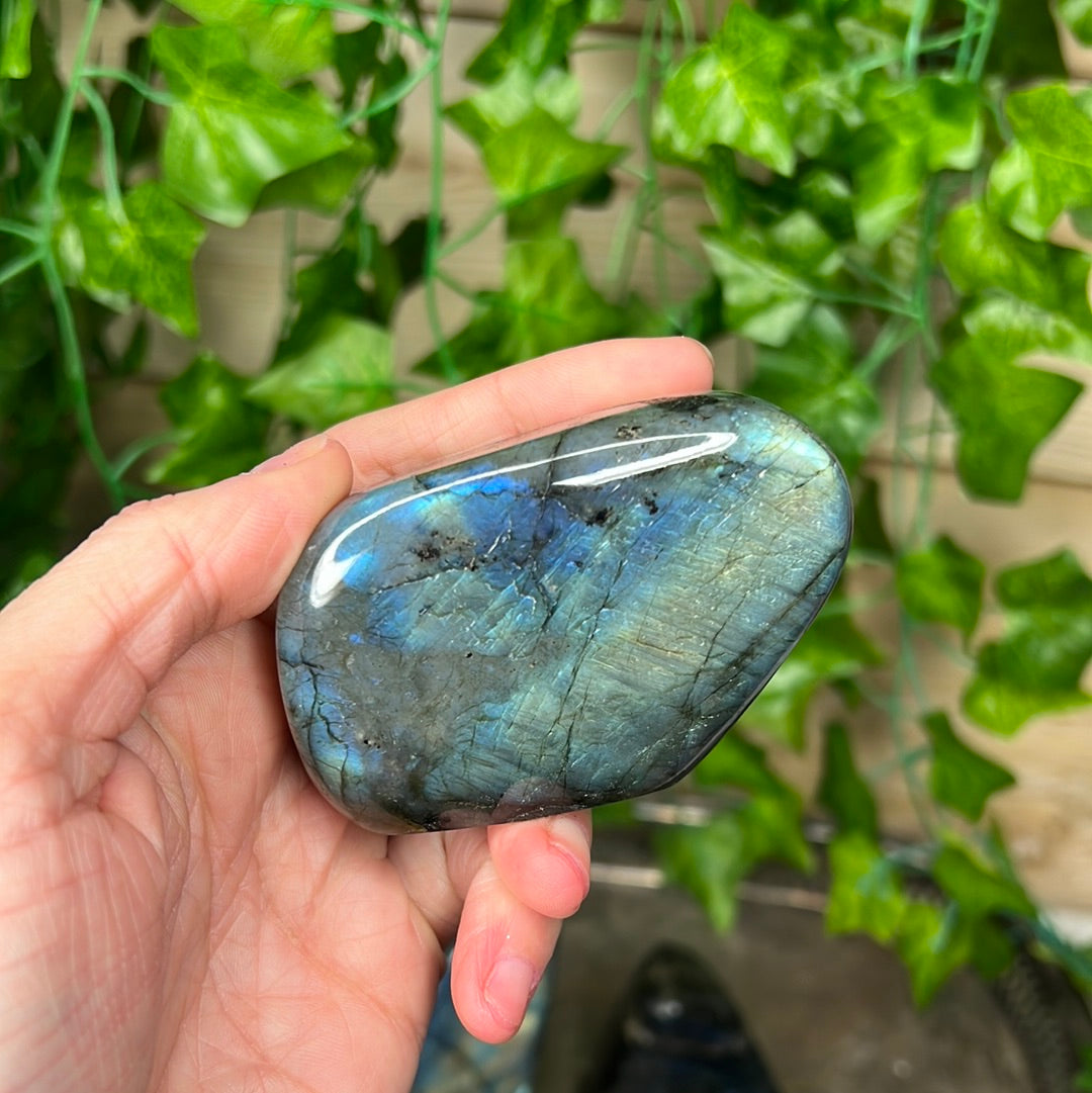 Labradorite Freeforms (you choose)