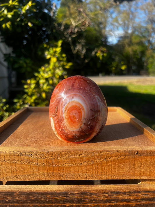 Carnelian Freeform