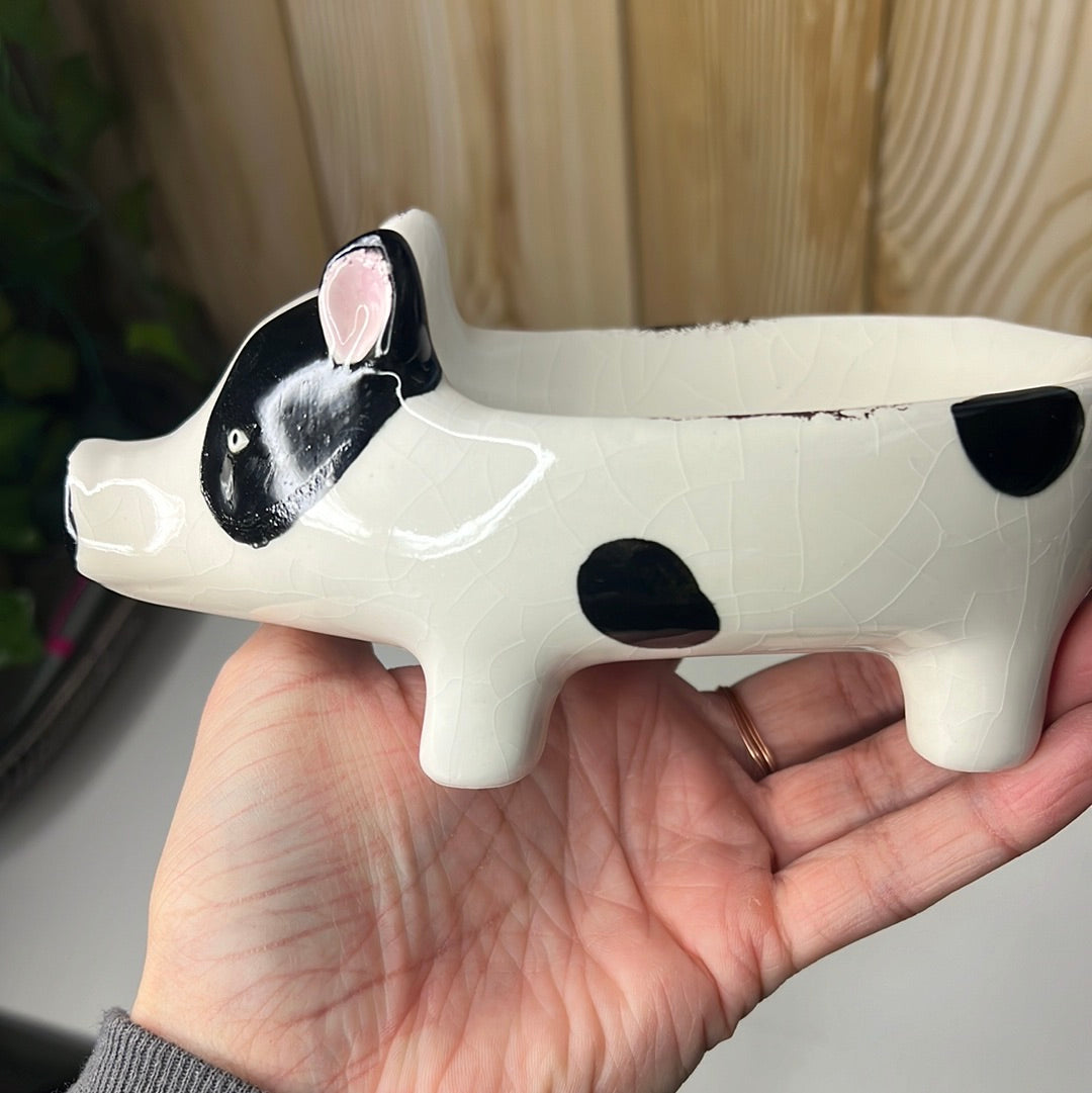 Pig porcelain dish