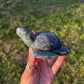 Dark & Moody Moss Agate Sea Turtle | Hand-Carved Crystal Turtle (80)