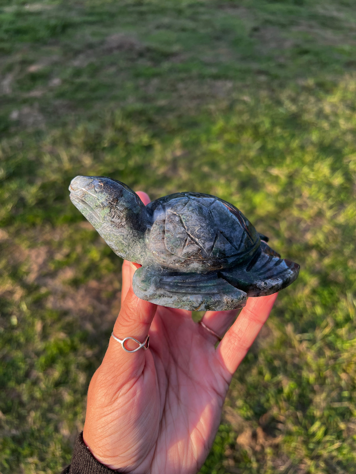 Dark & Moody Moss Agate Sea Turtle | Hand-Carved Crystal Turtle (80)
