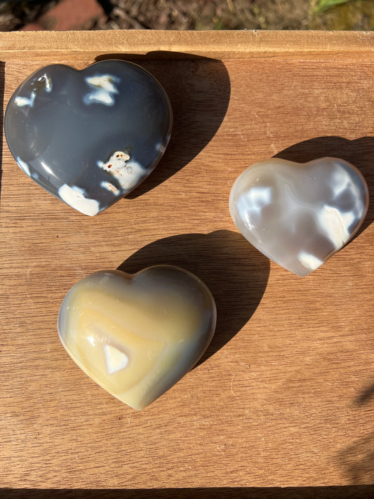 Orca Agate Hearts (you choose)