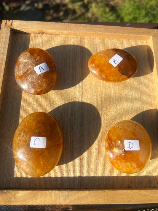 Golden Healer Palm Stone (you choose)