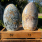 Sea Jasper / Ibis Jasper XL Freeform (you choose)