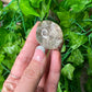 Garden Quartz with Rutile Lens 14B
