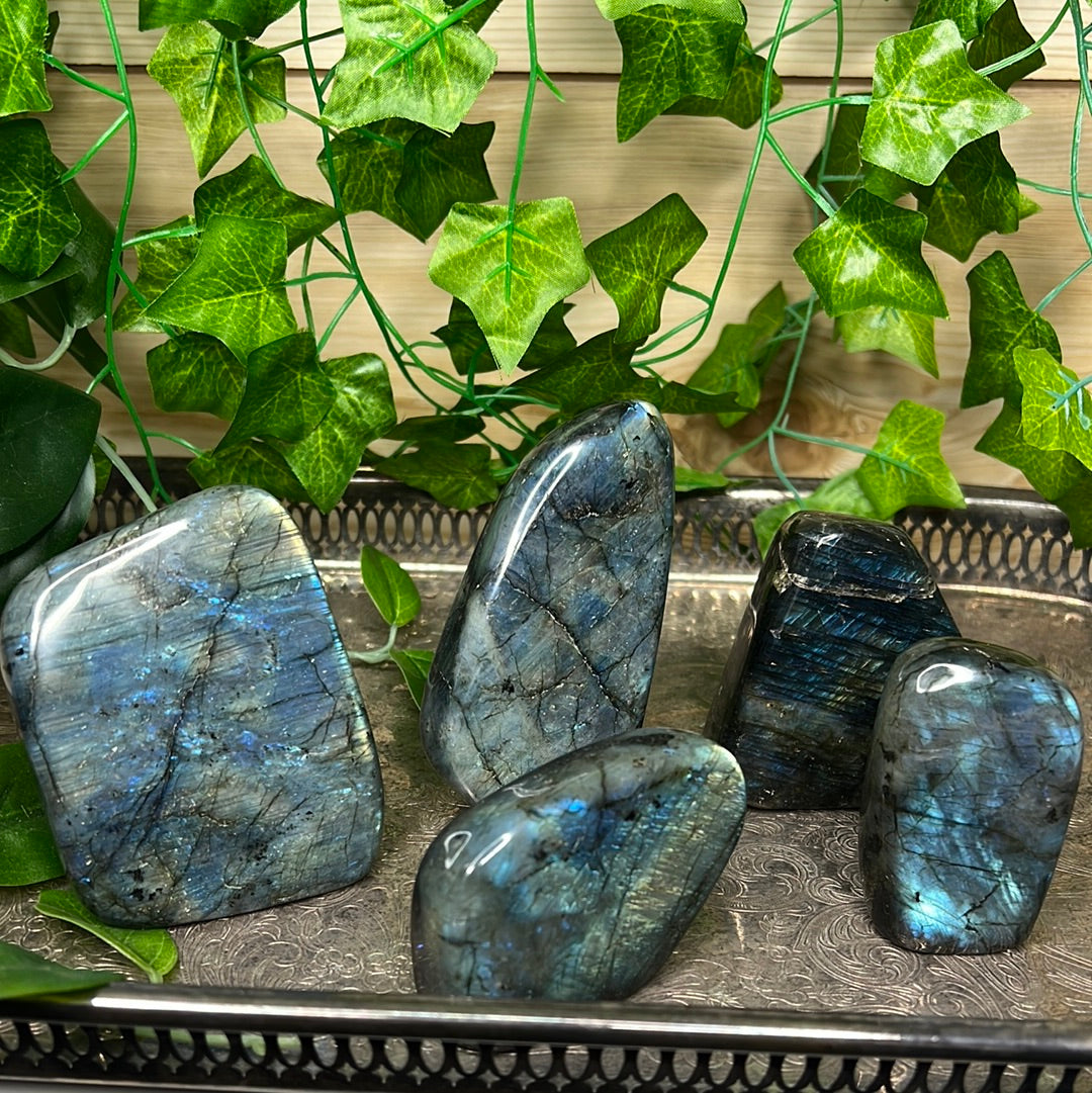 Labradorite Freeforms (you choose)