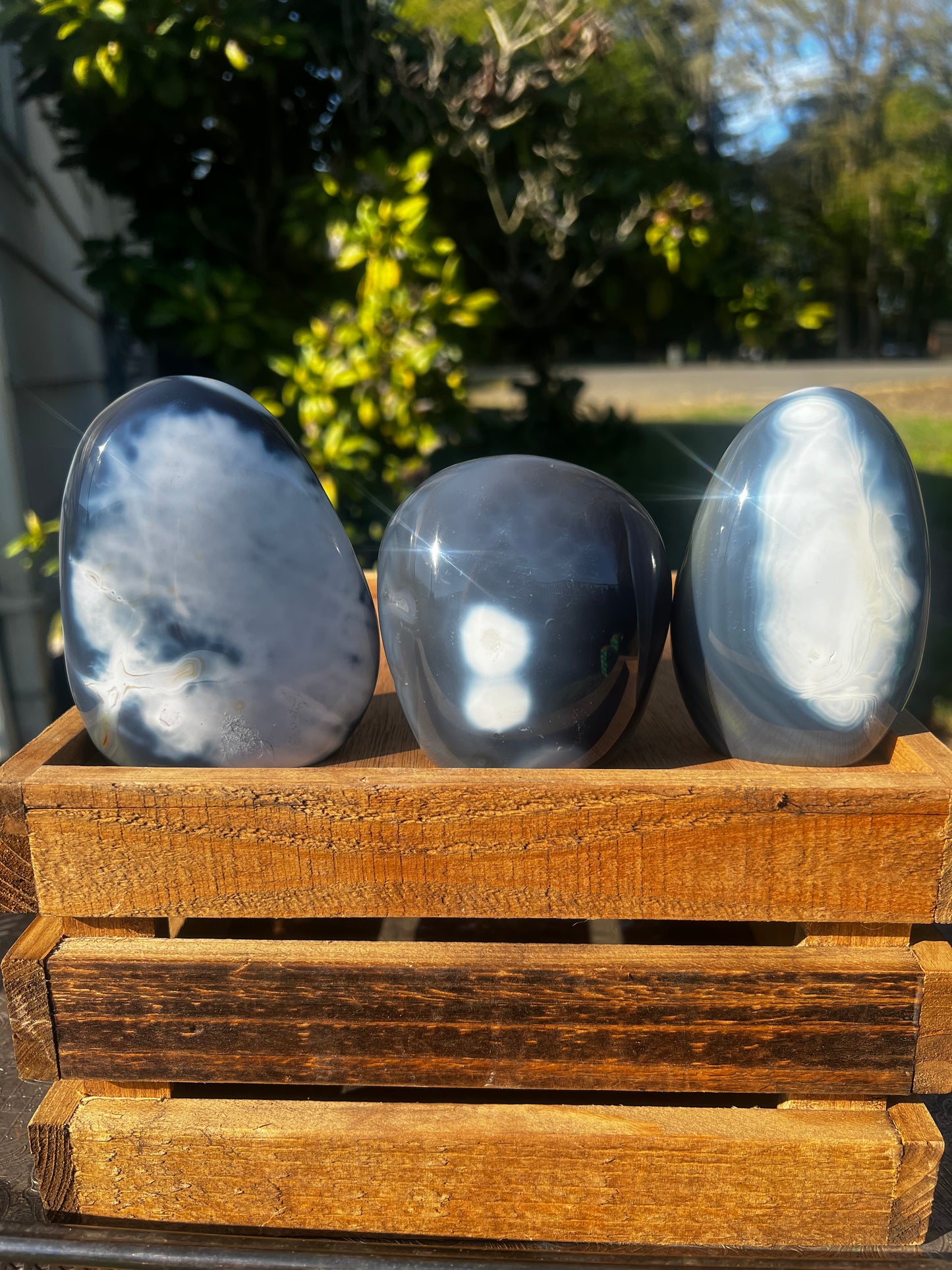 Orca Agate Freeform (you choose)
