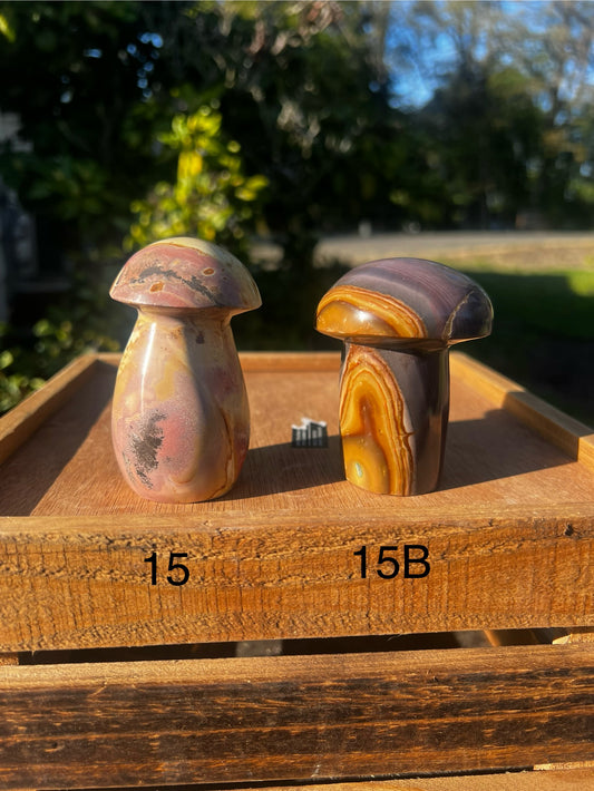 Polychrome mushroom (you choose)