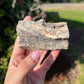 Petrified wood (you choose)