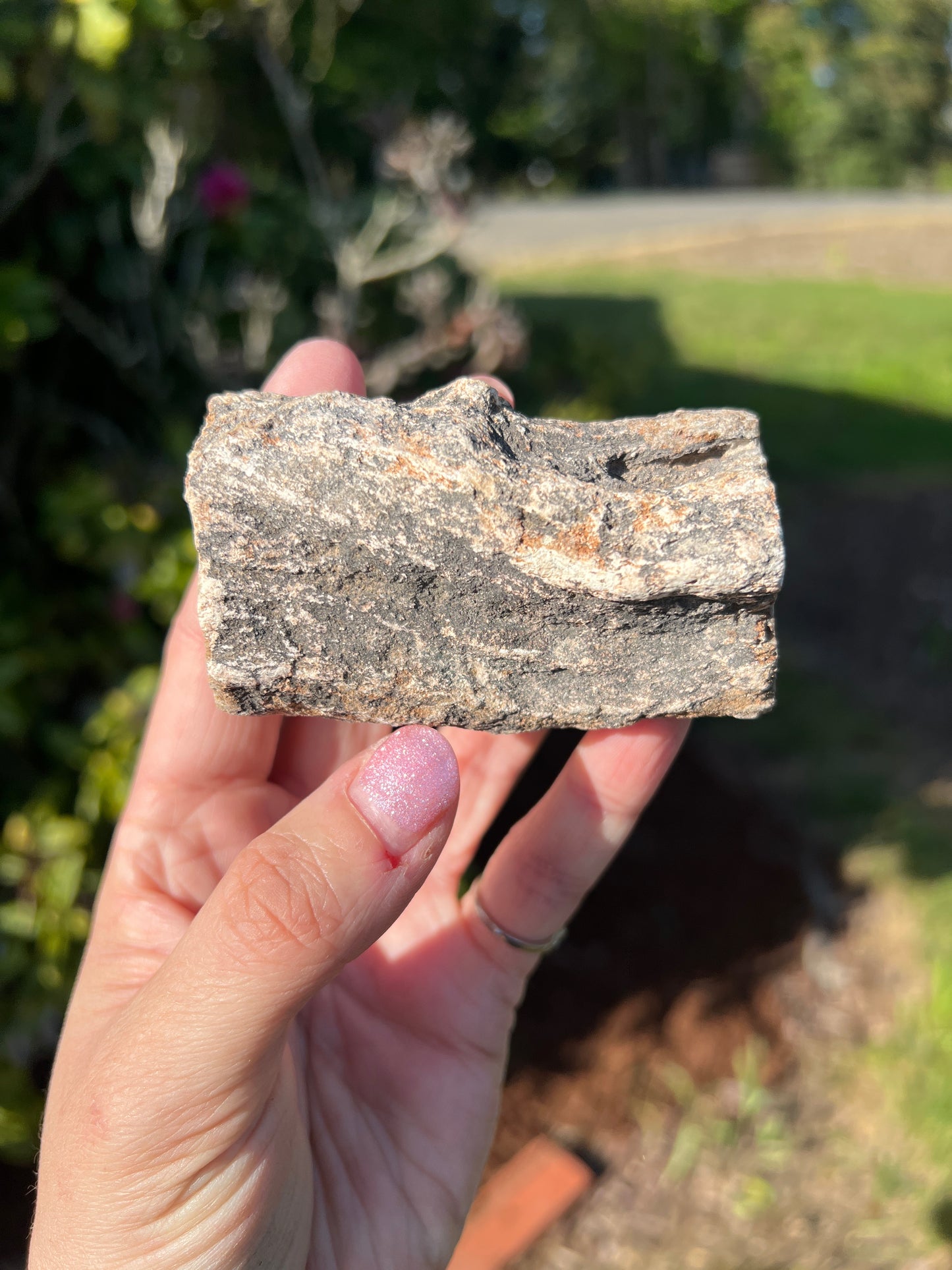 Petrified wood (you choose)