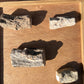 Petrified wood (you choose)
