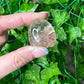 Garden Quartz with Rutile Lens (12A)