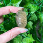 Garden Quartz With Gold Rutile  Lens (12D)