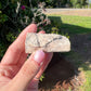 Petrified wood (you choose)