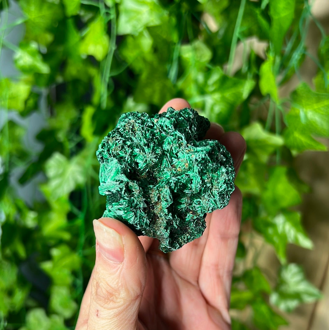 Fibrous malachite (you choose)