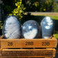 Orca Agate Freeform (you choose)