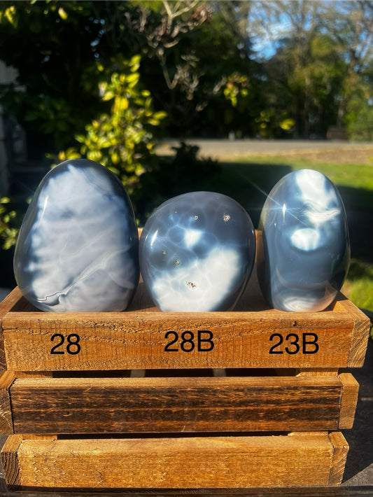 Orca Agate Freeform (you choose)