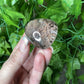 Garden Quartz Lens (17A)