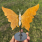 Golden Healer Butterfly Wings on Stand | Quartz Crystal Décor Option 69
