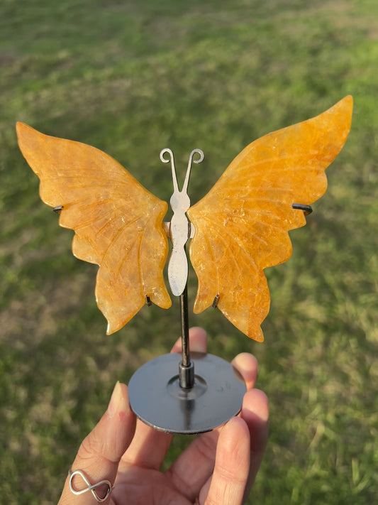 Golden healer butterfly wings option 69 displayed on a stand