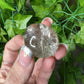 Garden Quartz with Rutile Lens 14B