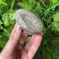 Layered Garden Quartz Lens (42)
