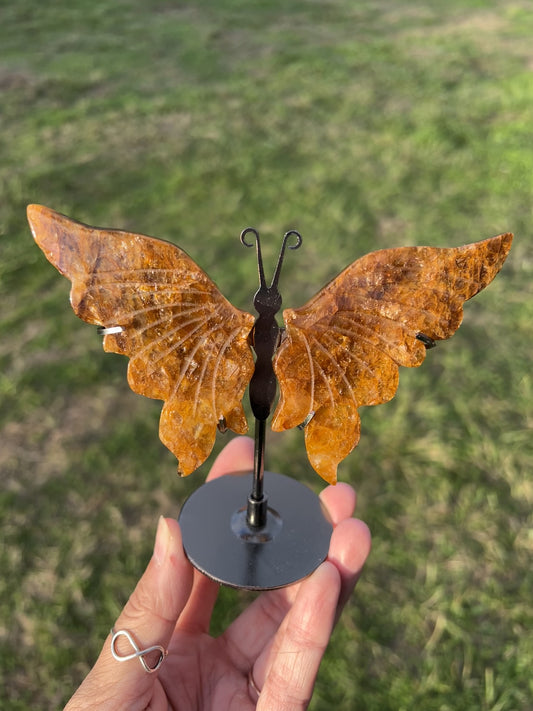Moody golden healer butterfly wings option 130 displayed on a stand