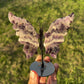 Dream Amethyst Butterfly wings on stand (81)