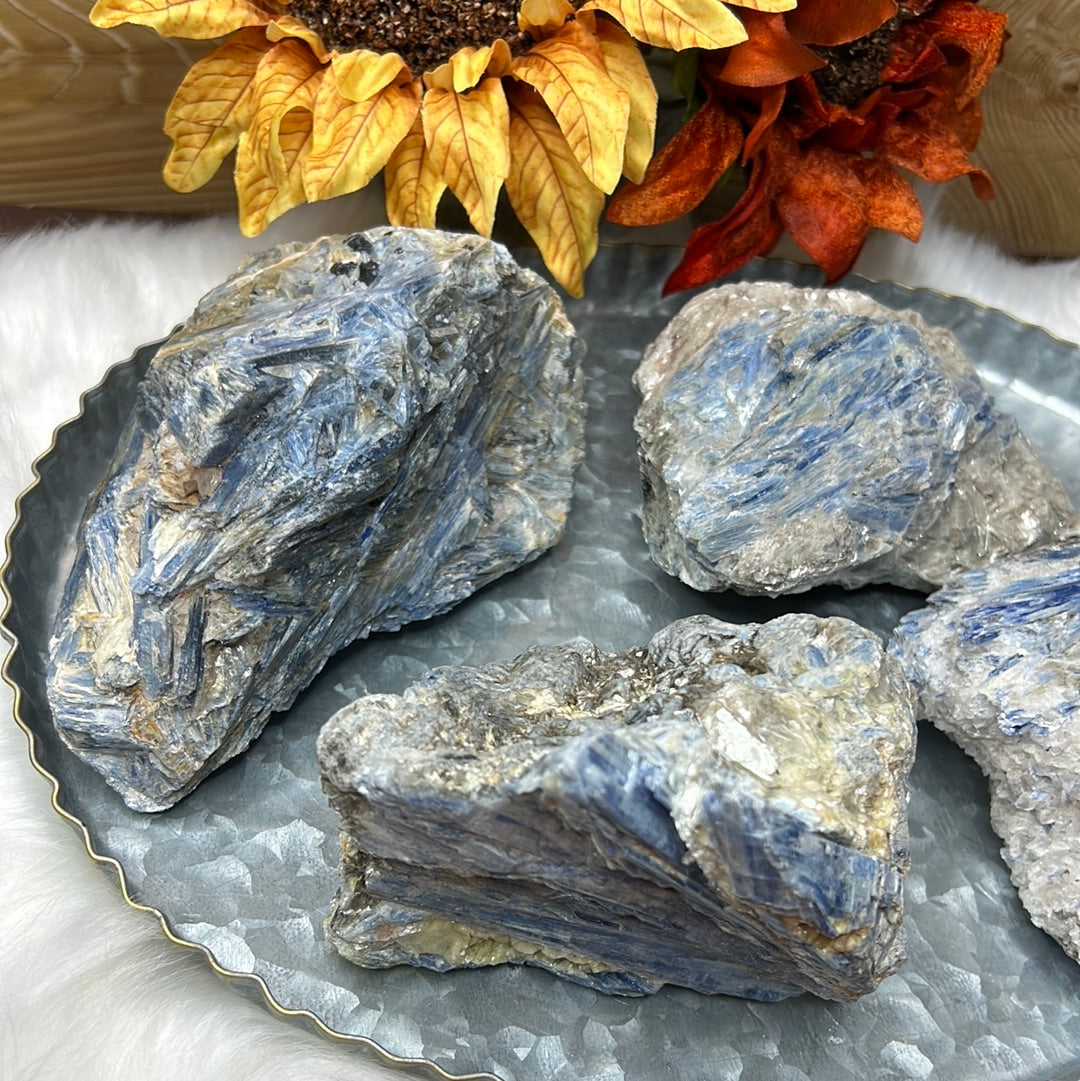 Blue Kyanite Specimens - Brazil - L (You Choose)